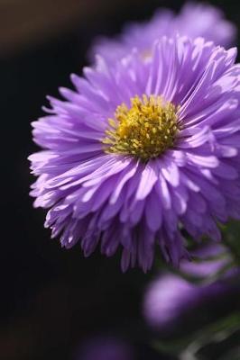 Book cover for Purple Aster Flower Gardening Journal