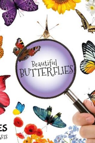 Cover of Beautiful Butterflies