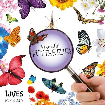 Cover of Beautiful Butterflies