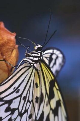 Cover of Idea Leuconoe Paper Kite Butterfly Journal