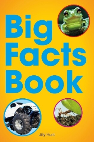 Cover of Big Facts Book (Set 07)