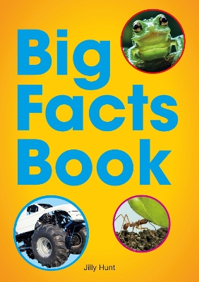 Book cover for Big Facts Book (Set 07)