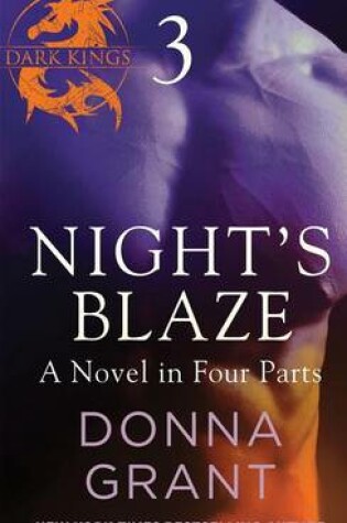 Cover of Night's Blaze: Part 3