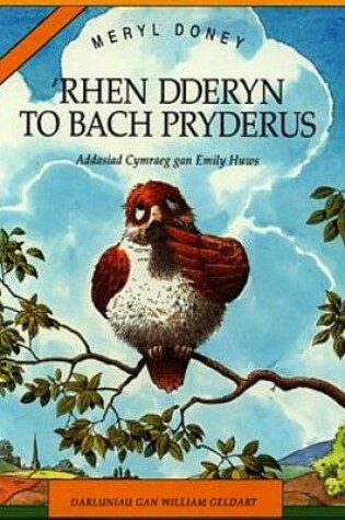 Cover of 'Rhen Dderyn to Bach Pryderus