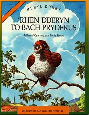 Book cover for 'Rhen Dderyn to Bach Pryderus