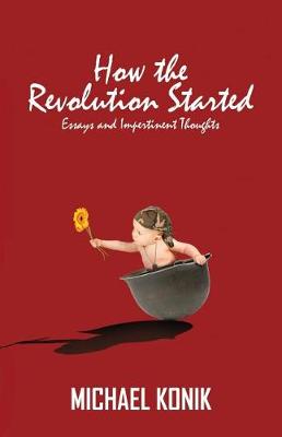 Book cover for How the Revolution Started