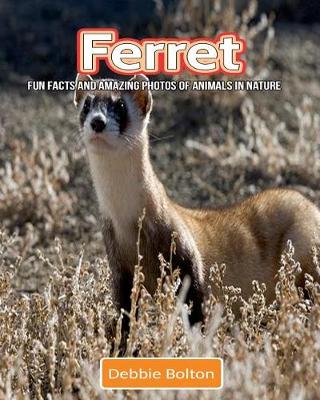 Book cover for Ferret