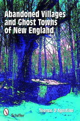 Book cover for Abandoned Villages and Ght Towns of New England