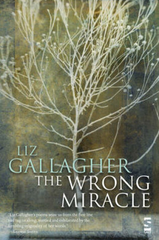 Cover of The Wrong Miracle