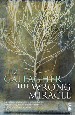 Book cover for The Wrong Miracle