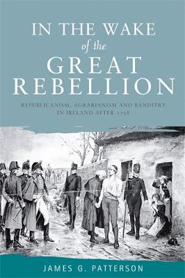 Book cover for In the Wake of the Great Rebellion