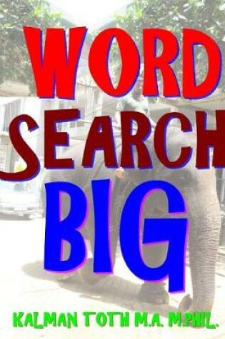 Cover of Word Search Big