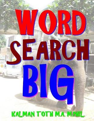 Book cover for Word Search Big