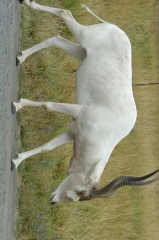 Cover of An Addax on the Road, for the Love of Animals