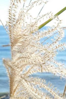 Book cover for Japanese Silver Grass in Autumn Journal