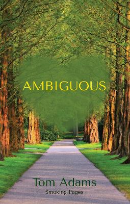 Book cover for Ambiguous