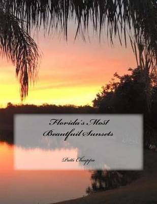 Book cover for Florida's Most Beautfuil Sunsets