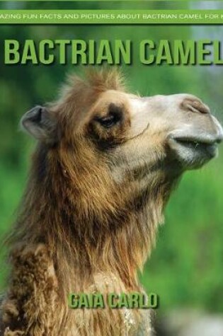 Cover of Bactrian camel