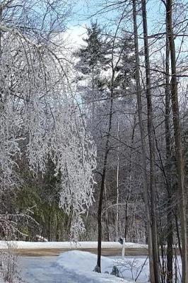 Cover of 2019 Weekly Planner Winter Ice Storm Birch Tree Snow Covered 134 Pages