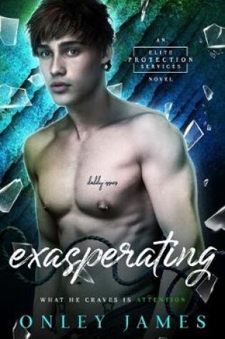 Cover of Exasperating