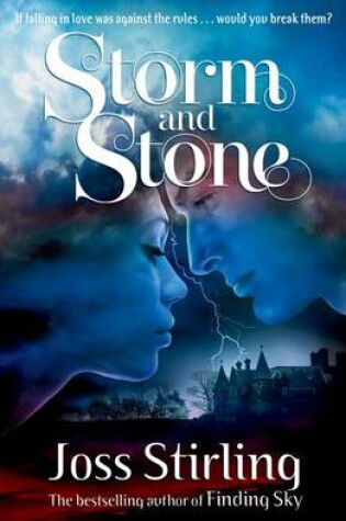 Cover of Storm and Stone