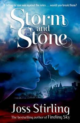 Book cover for Storm and Stone
