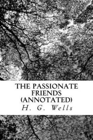 Cover of The Passionate Friends (Annotated)