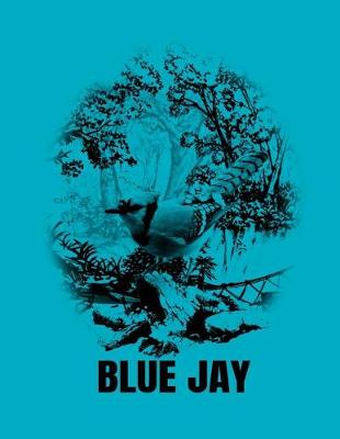 Book cover for Blue Jay