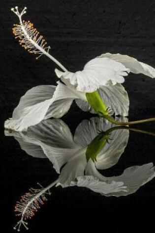 Cover of Stunning White Hibiscus Flower and Reflection Journal