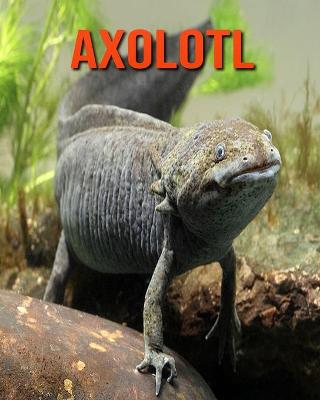 Book cover for Axolotl
