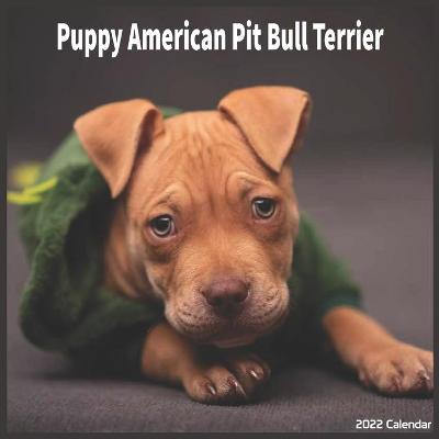 Book cover for American Pit Bull Puppy 2022 Calendar