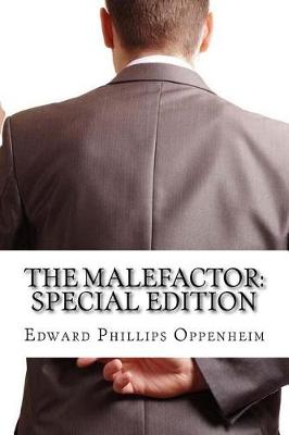 Book cover for The Malefactor