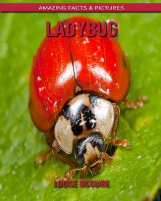 Book cover for Ladybug