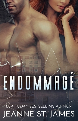 Book cover for Endommagé