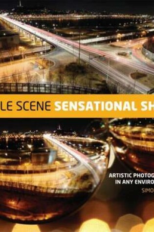 Cover of Simple Scene, Sensational Shot: Artistic Photography from Any Environment