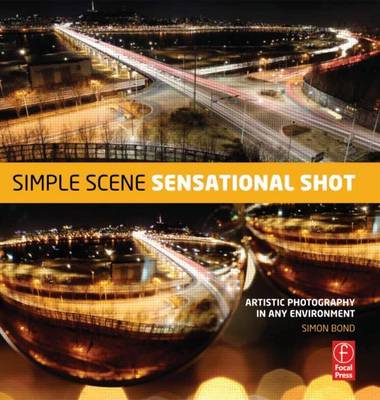 Book cover for Simple Scene, Sensational Shot: Artistic Photography from Any Environment