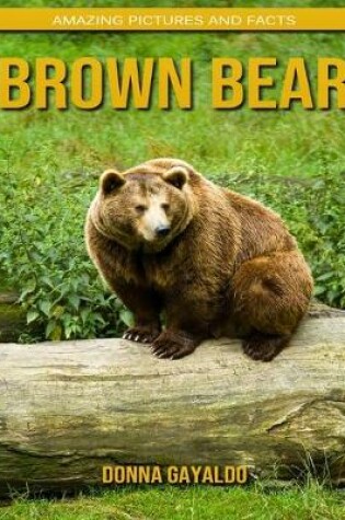 Cover of Brown Bear