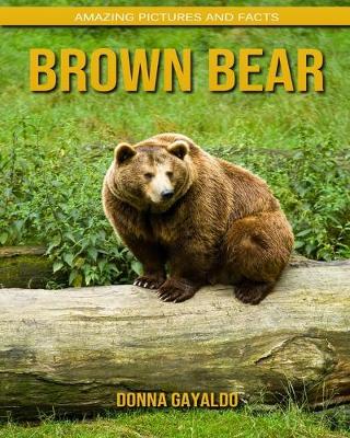 Book cover for Brown Bear