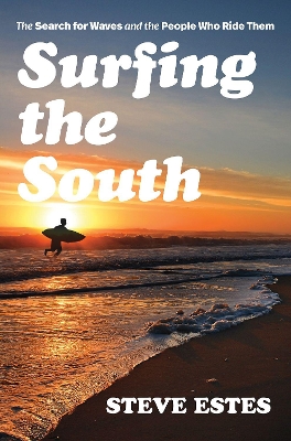 Book cover for Surfing the South