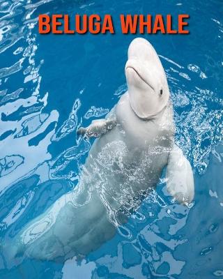 Book cover for Beluga Whale