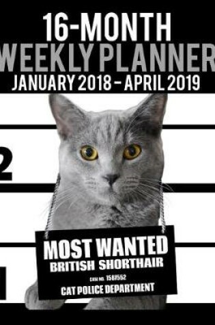 Cover of 2018-2019 Weekly Planner - Most Wanted British Shorthair