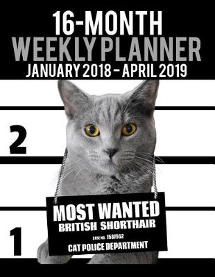 Book cover for 2018-2019 Weekly Planner - Most Wanted British Shorthair