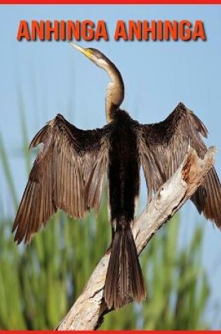 Cover of Anhinga anhinga