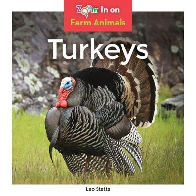 Book cover for Turkeys