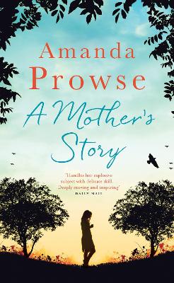 Book cover for A Mother's Story
