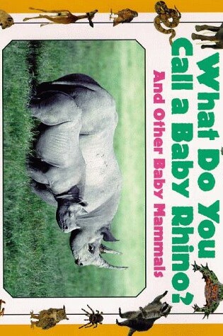 Cover of What Do You Call a Baby Rhino?