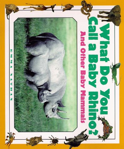 Book cover for What Do You Call a Baby Rhino?