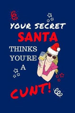 Cover of Your Secret Santa Thinks You're A Cunt