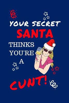 Book cover for Your Secret Santa Thinks You're A Cunt