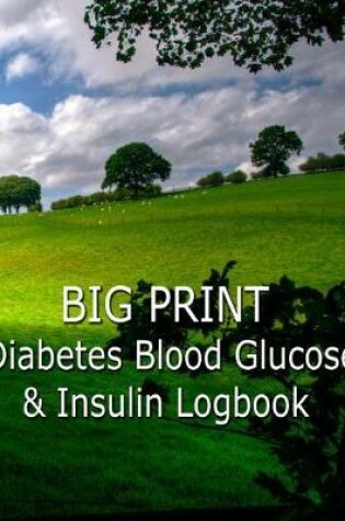 Cover of Big Print Diabetes Blood Sugar and Insulin Log